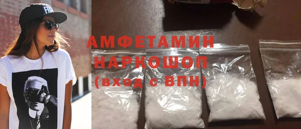 шишки Арсеньев