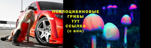спайс Алексин
