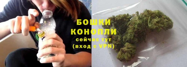 шишки Арсеньев