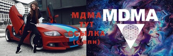 шишки Арсеньев