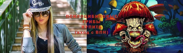 Альфа ПВП Алзамай