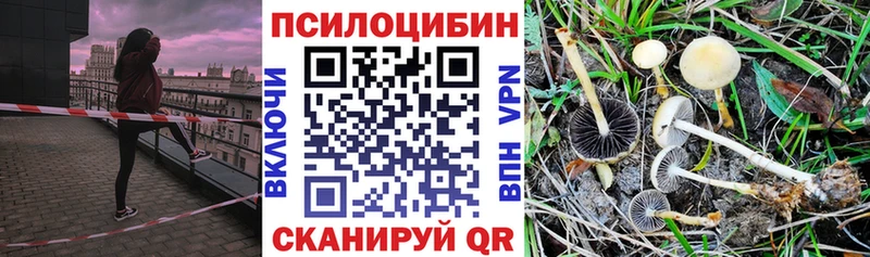 Галлюциногенные грибы ЛСД  OMG ССЫЛКА  Куса 